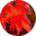 Elizabeth Roberts, verified Google reviewer