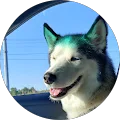 Daniel Cooper, verified Google reviewer